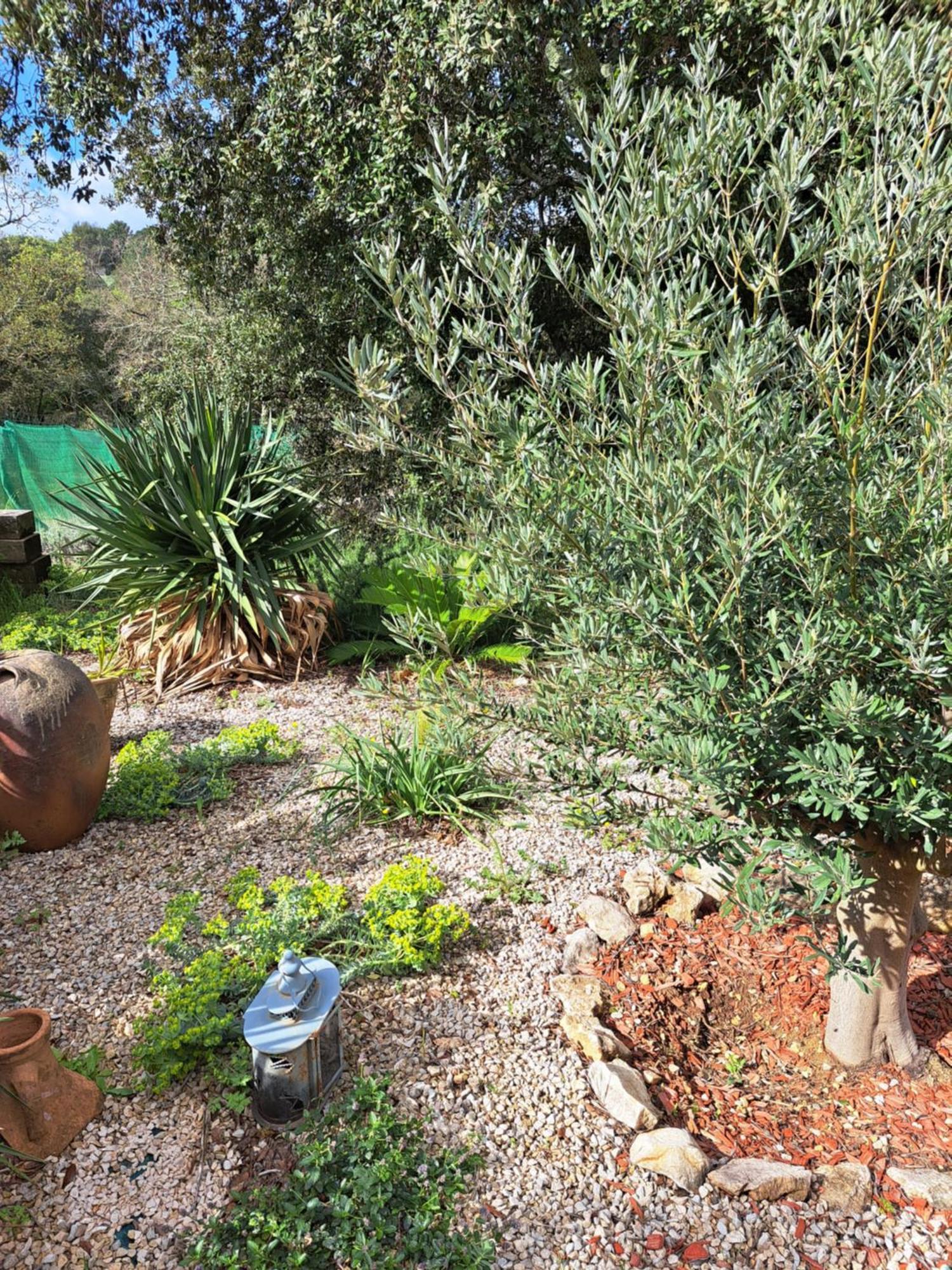 Le Calme De La Garrigue Bed & Breakfast Russan Exterior photo