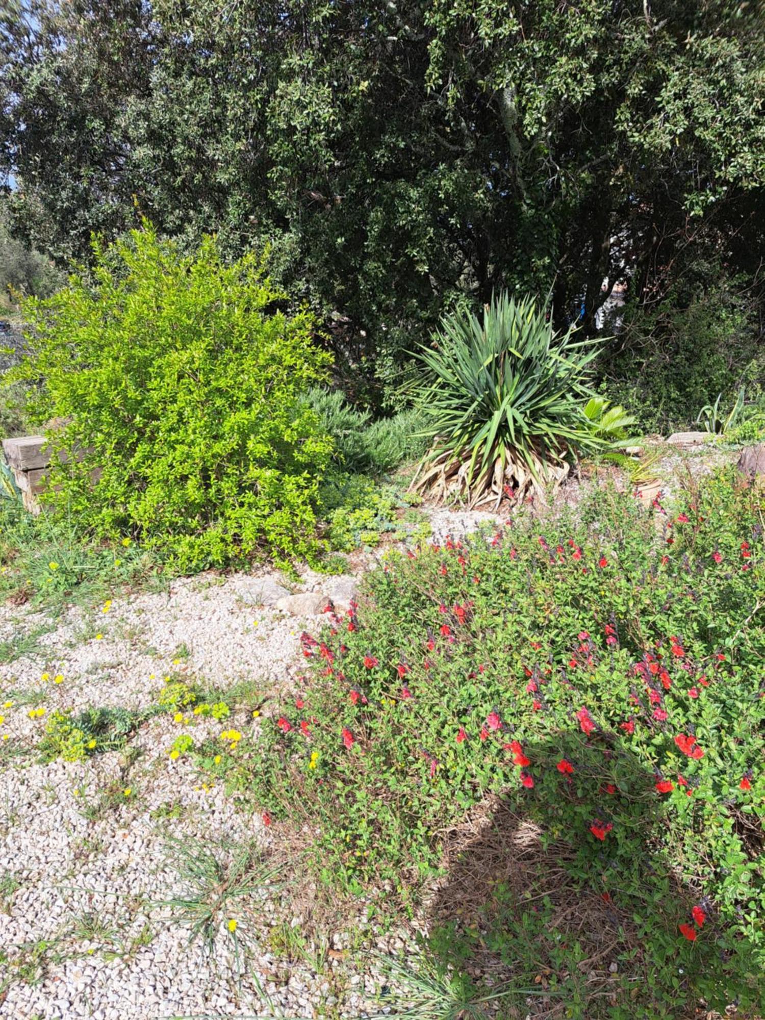 Le Calme De La Garrigue Bed & Breakfast Russan Exterior photo